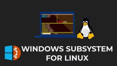 Windows Subsystem for Linux 1.0 (WSL)